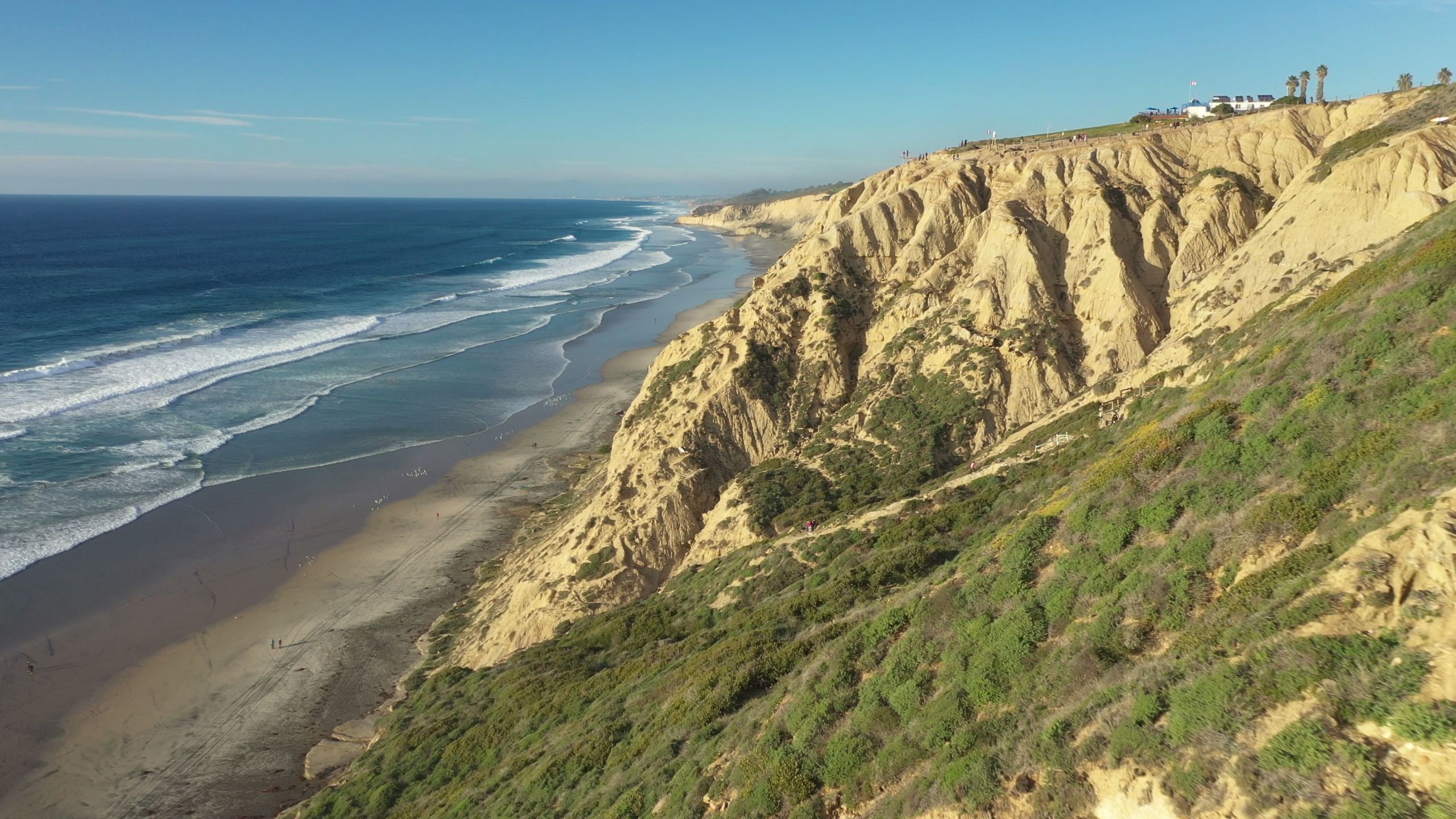 Life at Salk - Salk Institute for Biological Studies