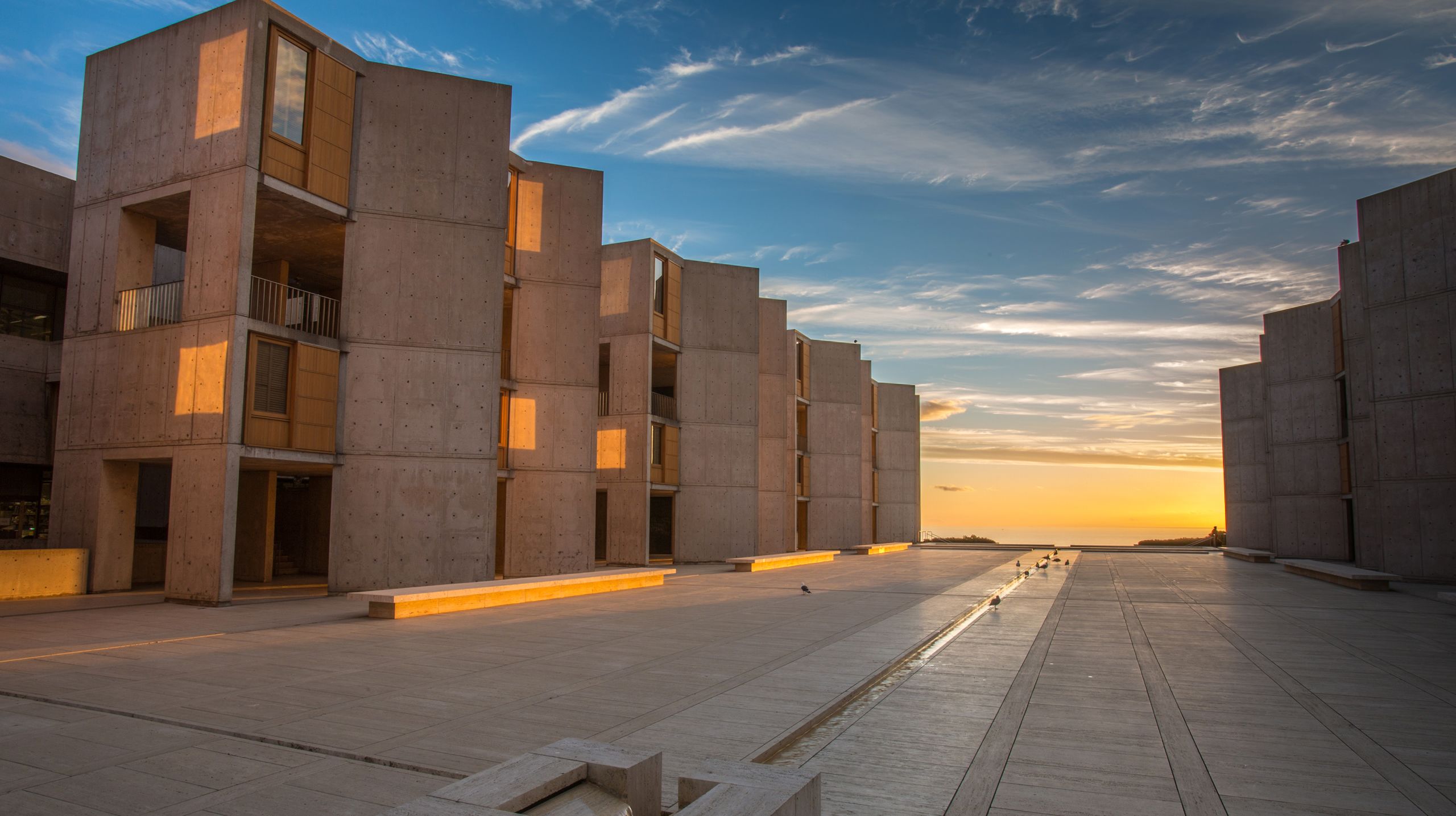 Life at Salk - Salk Institute for Biological Studies